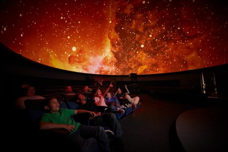 Cape Town for Children: Family Tour - Two Oceans Aquarium