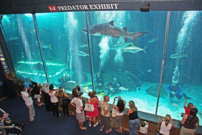 Cape Town for Children: Family Tour - Frequently Asked Questions