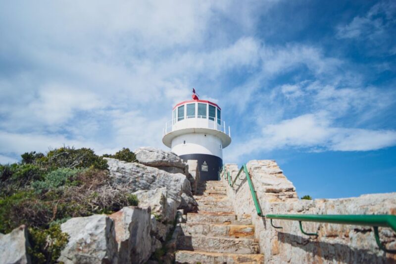 Cape Town: Full-Day Private Peninsula Tour - Good To Know