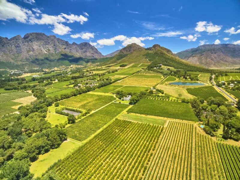 Cape Town: Full-Day Wine Tasting Tour With Wine Tram - Good To Know