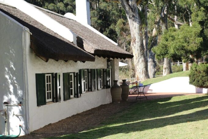 Cape Town: Full-Day Wine Tasting Tour With Wine Tram - Tour Inclusions and Reviews