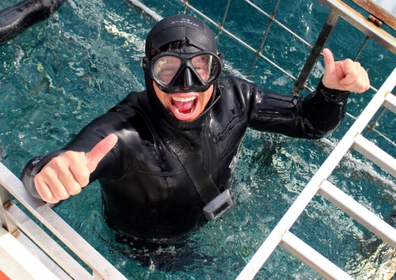 Cape Town: Gansbaai Eco-Friendly Shark Cage Diving Cruise - Highlights of the Experience