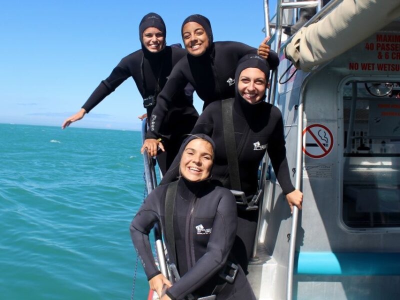 Cape Town: Gansbaai Eco-Friendly Shark Cage Diving Cruise - Necessary Preparations