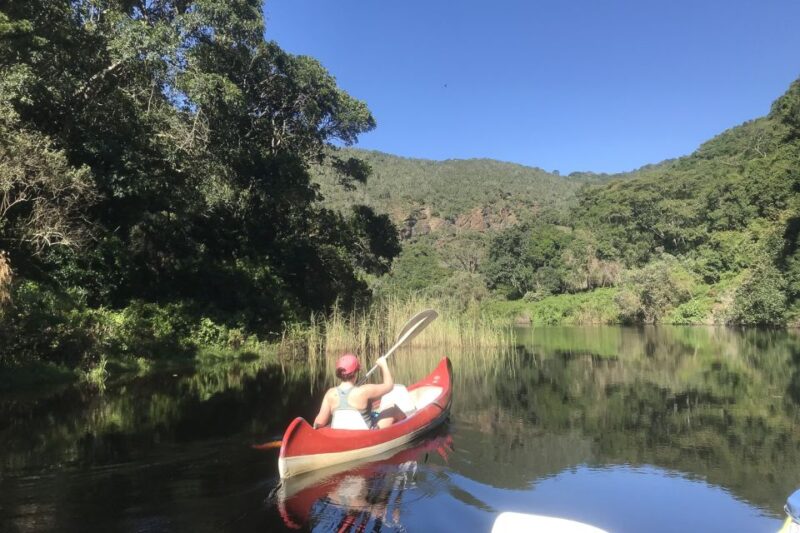 Cape Town: Garden Route and Addo Elephant Park 6-Day Safari - Good To Know