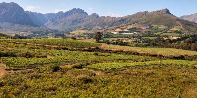 Cape Town: Guided Day Trip Around Local Townships - Local Guide Insights