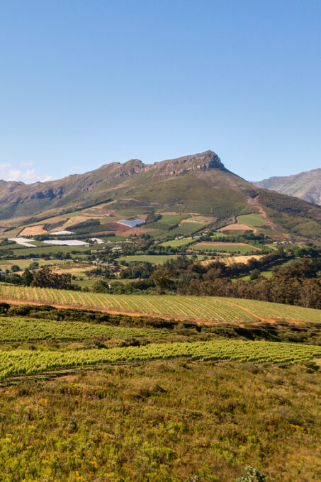 Cape Town: Guided Day Trip Around Local Townships - Frequently Asked Questions