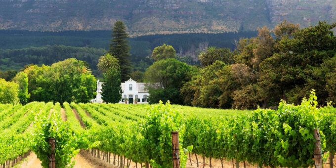 Cape Town: Guided Day Trip Around Local Townships - The Sum Up