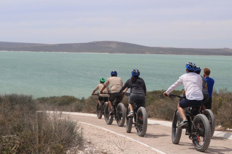Cape Town: Guided E-Bike Safari Tour - Details About West Coast National Park