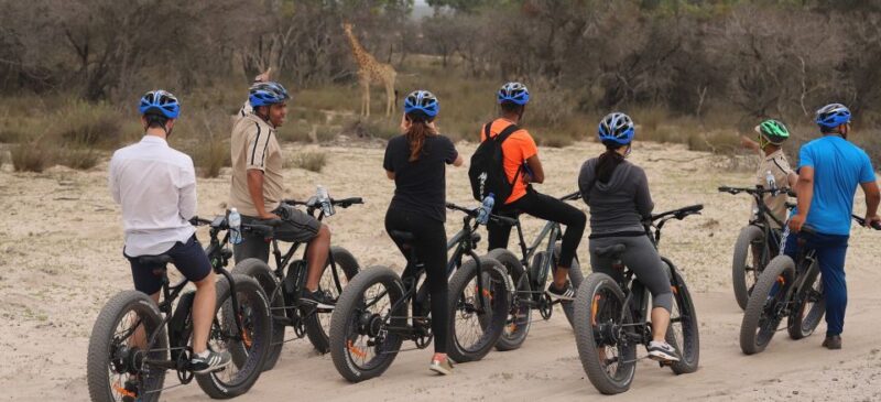Cape Town: Guided E-Bike Safari Tour - Scenic Views and Nature Encounters