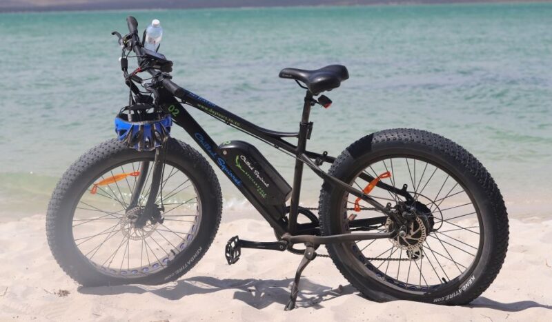 Cape Town: Guided E-Bike Safari Tour - Booking and Cancellation Policy