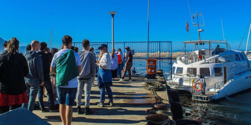 Cape Town: Hermanus Land Based Whale Watching Tour - Whale Watching Experience