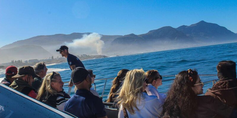 Cape Town: Hermanus Land Based Whale Watching Tour - Optional Experiences