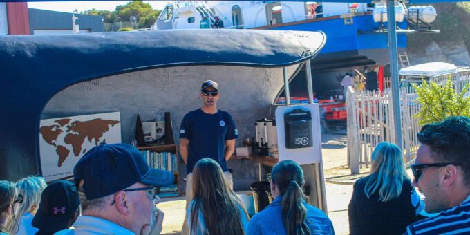 Cape Town: Hermanus Land Based Whale Watching Tour - Important Considerations