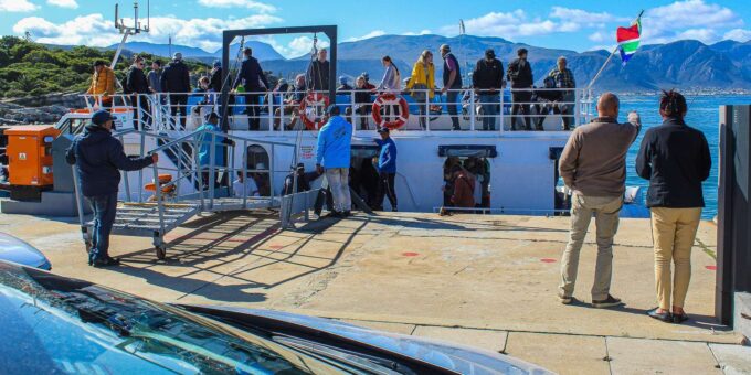 Cape Town: Hermanus Land Based Whale Watching Tour - Frequently Asked Questions
