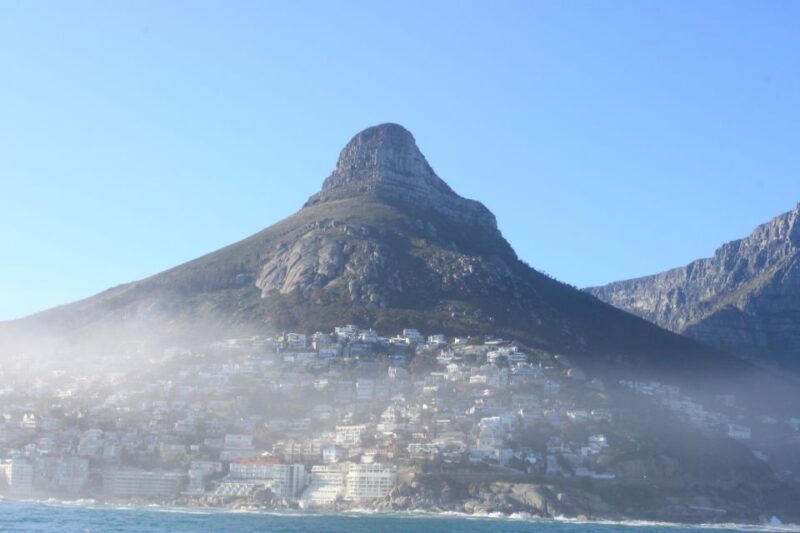 Cape Town: Marine Big 5 Ocean Safari From V&A Waterfront - Luxury Catamaran Experience