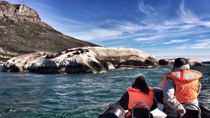 Cape Town: Marine Big 5 Ocean Safari From V&A Waterfront - Customer Ratings and Feedback