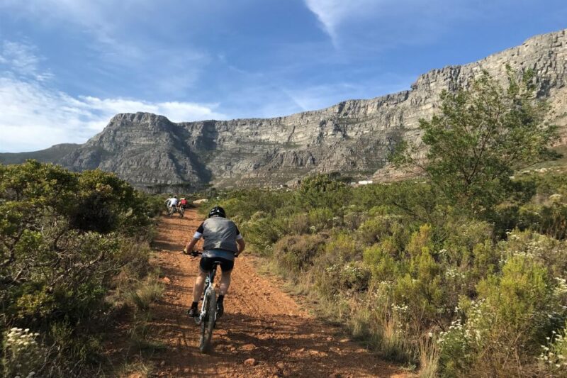 Cape Town: Mountain Biking Trip on Table Mountain - Good To Know