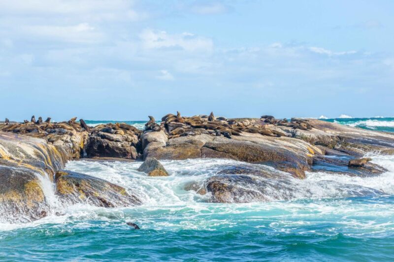 Cape Town: Penguin Watching at Boulders Beach Half Day Tour - Exploring Boulders Beach