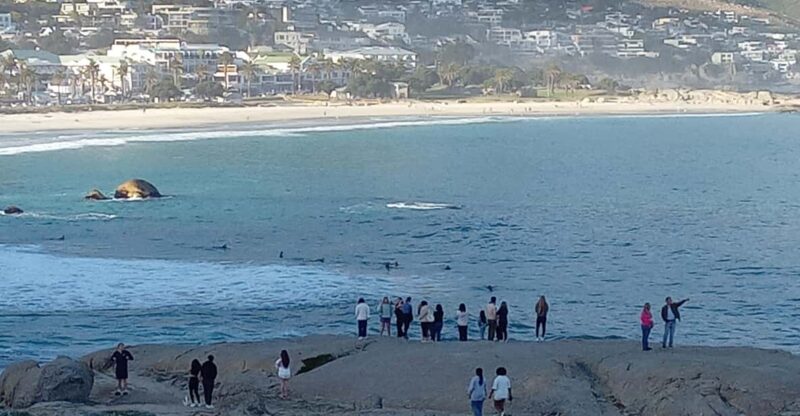 Cape Town: Peninsula Tour With Optional Seal Island Boat … - Good To Know