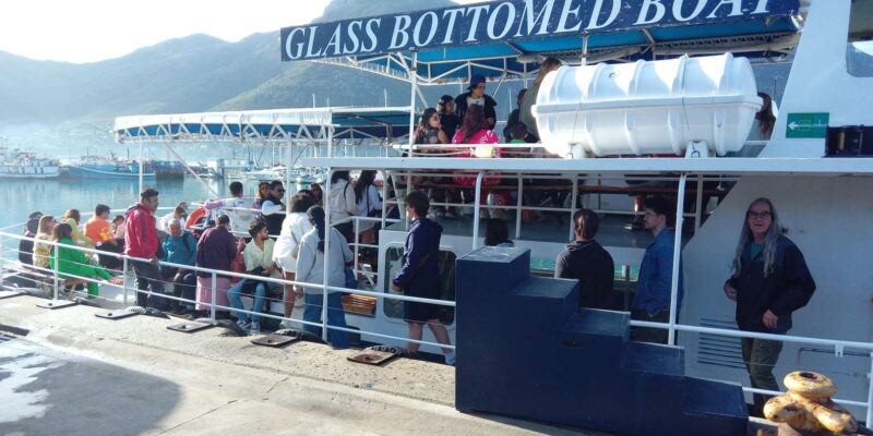Cape Town: Peninsula Tour With Optional Seal Island Boat … - Optional Activities