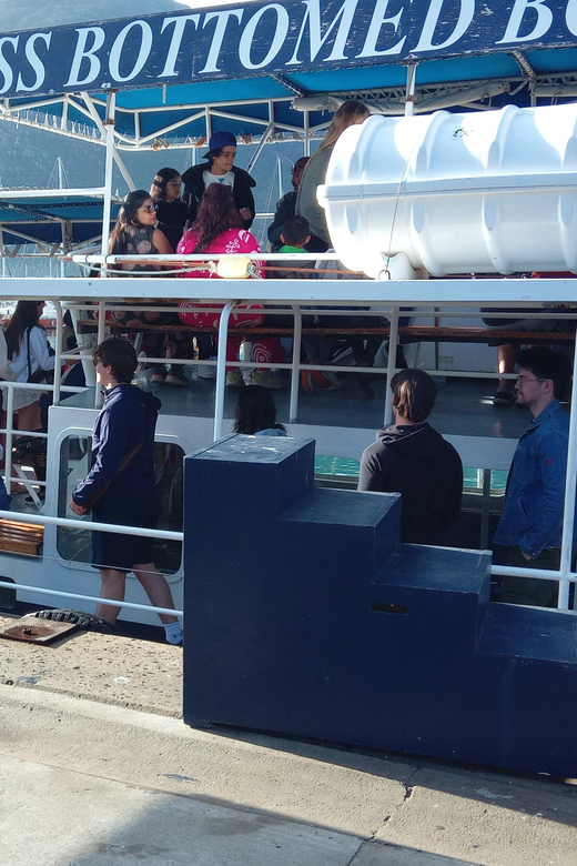 Cape Town: Peninsula Tour With Optional Seal Island Boat … - Important Information