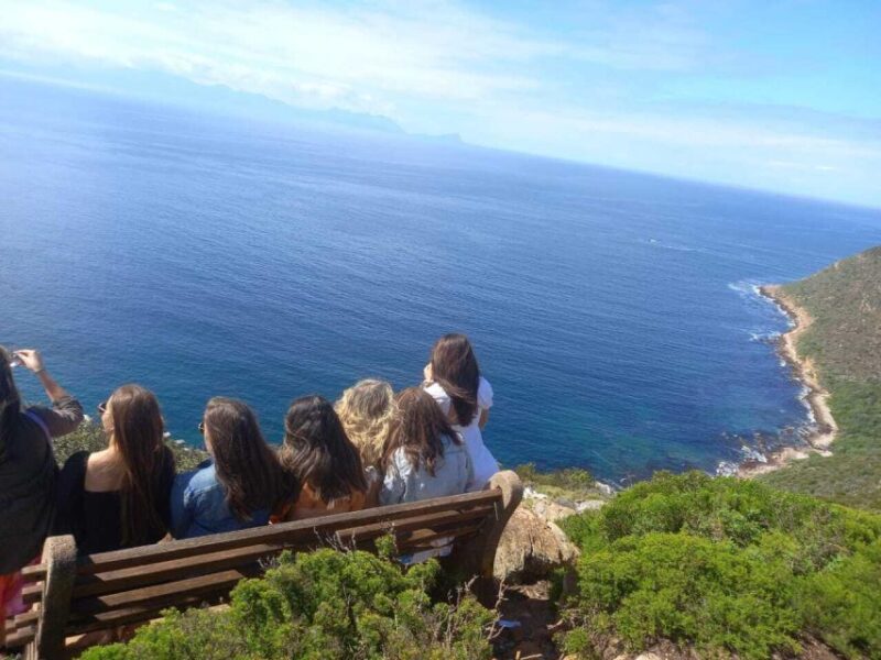 Cape Town: Private Full-Day Cape of Good Hope Tour - Experiences and Activities