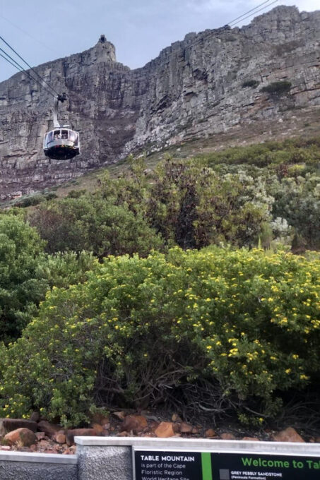 Cape Town Private Table Mountain & City Sightseeing Day Tour - Explore the Mother City