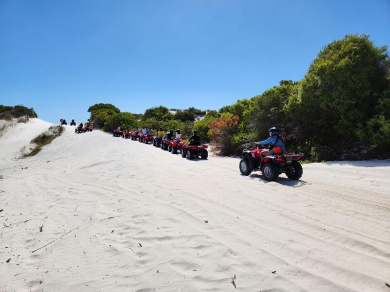 Cape-Town Quad Biking Atlantis Dunes - Highlights of the Experience