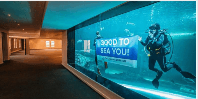 Cape Town: Robben Island and Two Oceans Aquarium Day Tour - Exploring Two Oceans Aquarium
