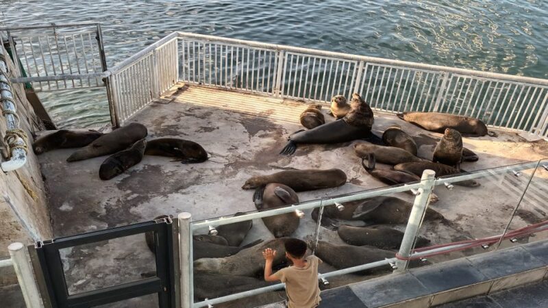 Cape Town: Robben Island & Diamond Museum WHotel Transfer - Itinerary Details