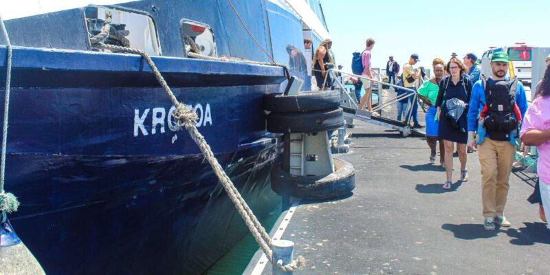 Cape Town: Robben Island Ferry Ticket Plus Guided Tour - Customer Reviews and Ratings
