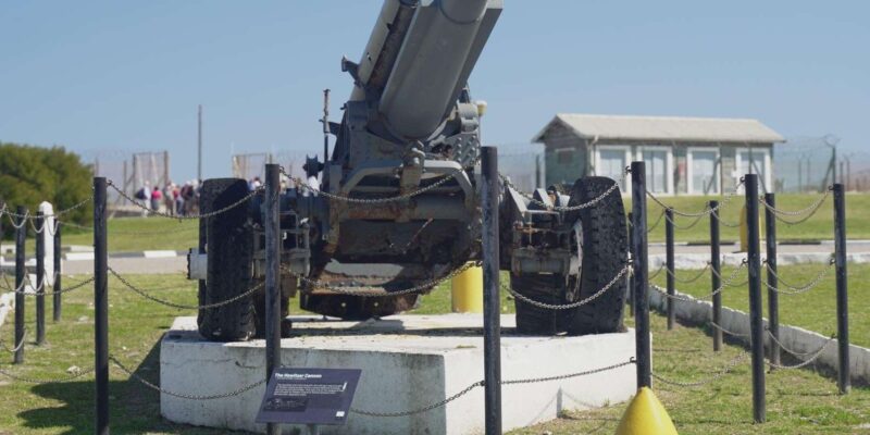 Cape Town: Robben Island Museum Tour With Ferry Ride - Customer Feedback and Considerations