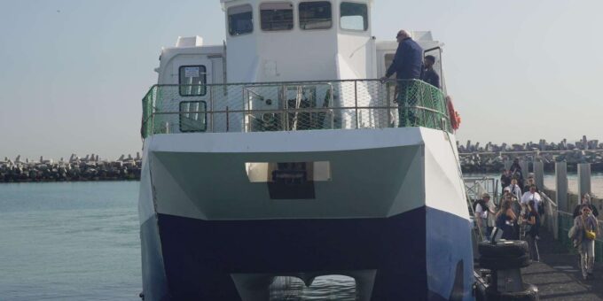 Cape Town: Robben Island Museum Tour With Ferry Ride - What to Expect on the Tour