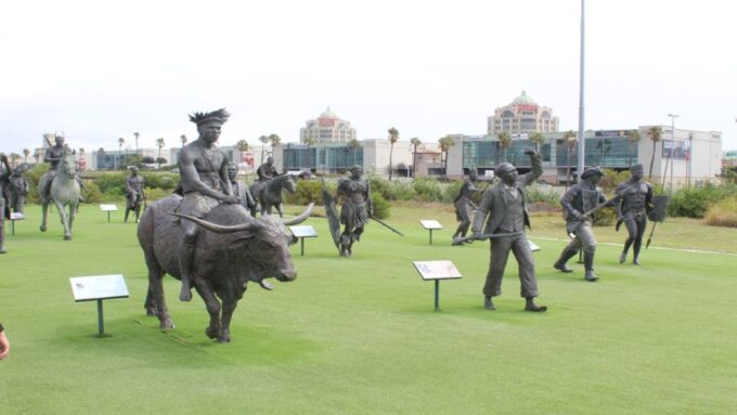 Cape Town: Robben Island Plus Long March To Freedom Tour - Drop-off Locations