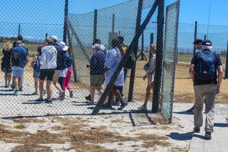 Cape Town: Robben Island Plus Table Mountain Tickets - Tour Itinerary