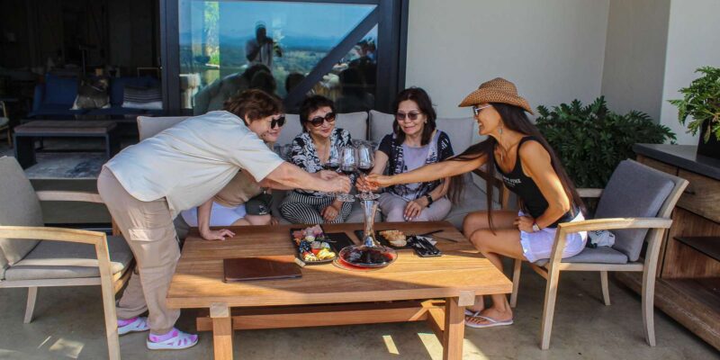 Cape Town: Stellenbosch and Franschhoek Wine Tasting Tour - Itinerary Highlights