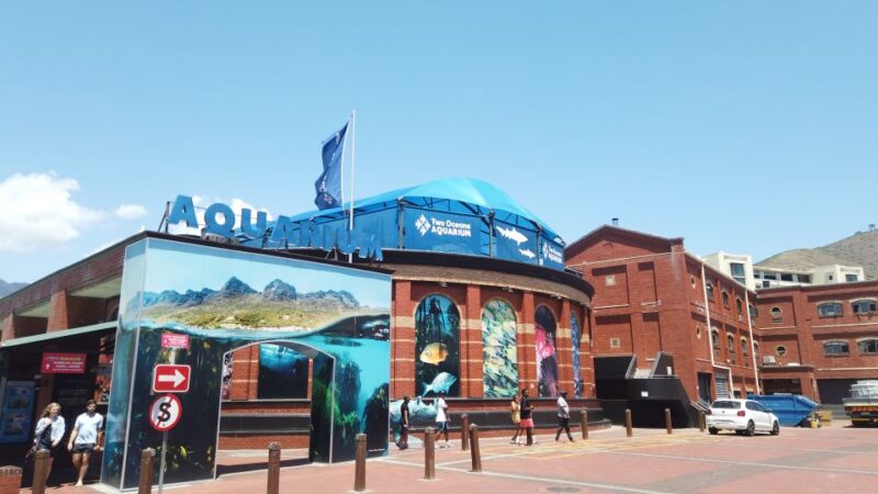 Cape Town: Table Mountain and Robben Island Tour - Exploring Table Mountain