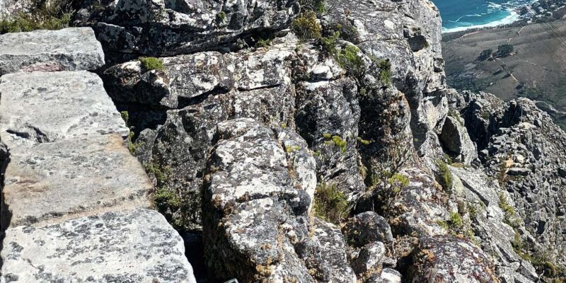 Cape Town: Table Mountain Cable Car Tickets - Accessibility and Group Size