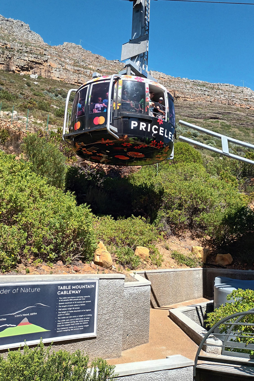 Cape Town: Table Mountain Cable Car Tickets - Customer Reviews and Feedback