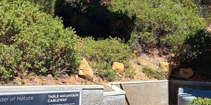 Cape Town: Table Mountain Cable Car Tickets - Getting to the Meeting Point