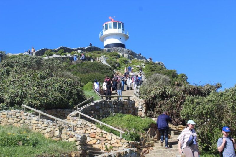 Cape Town : Table Mountain Cape Point Boulders Penguins - Good To Know