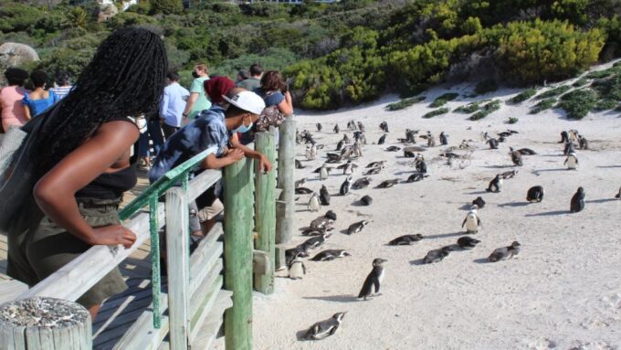 Cape Town : Table Mountain Cape Point Boulders Penguins - Exploring Cape Point