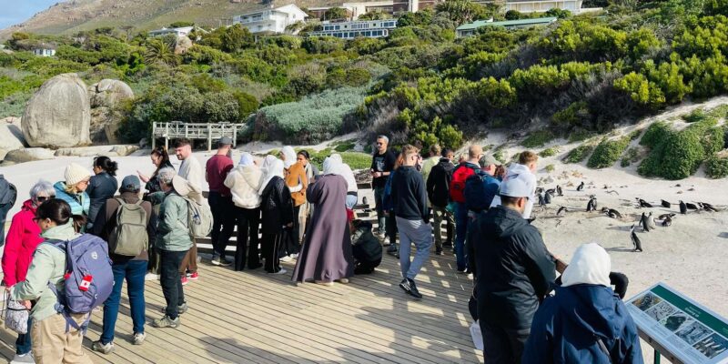 Cape Town: Table Mountain, Cape Point, Penguins Group Tour - Table Mountain Highlights
