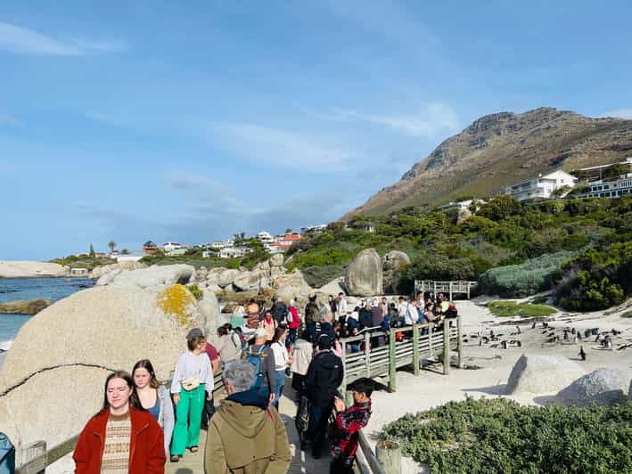 Cape Town: Table Mountain, Cape Point, Penguins Group Tour - Exploring Cape Point