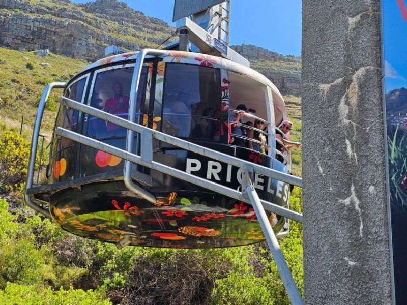 Cape Town: Table Mountain, Cape Point, & Penguins Group Tour - Good To Know