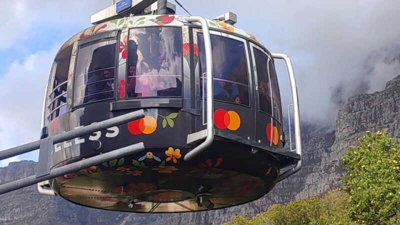 Cape Town: Table Mountain, Cape Point, & Penguins Group Tour - Itinerary Highlights