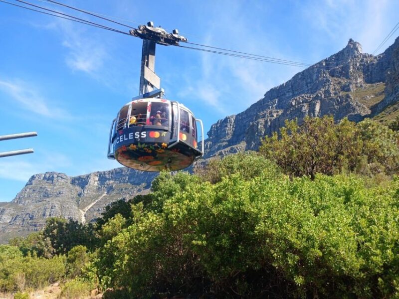 Cape Town: Table Mountain, Cape Point, & Penguins Group Tour - Main Stops