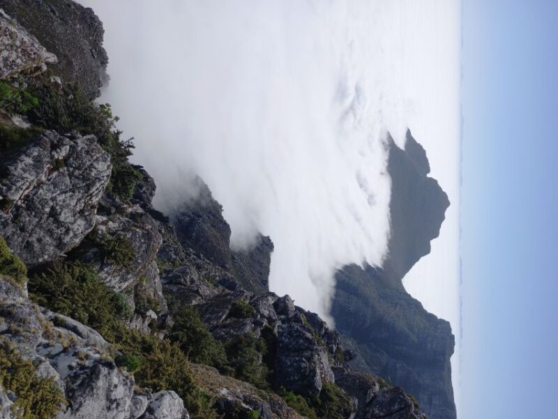 Cape Town: Table Mountain Easy Summit Walk - PRIVATE - Exploring Table Mountain