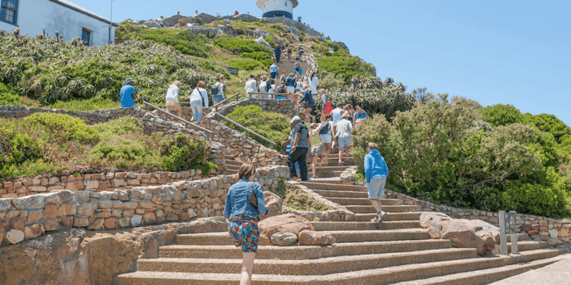 Cape Town: Table Mountain, Penguins, and Bo-Kaap Private … - Visiting the Cape of Good Hope