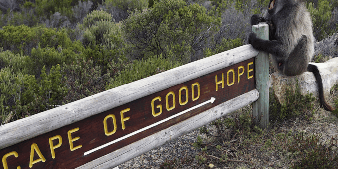 Cape Town: Table Mountain, Penguins, and Bo-Kaap Private … - Tour Inclusions and Information